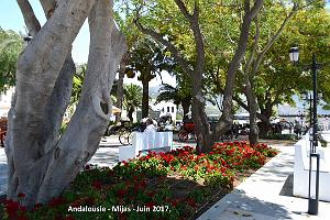 431- Mijas